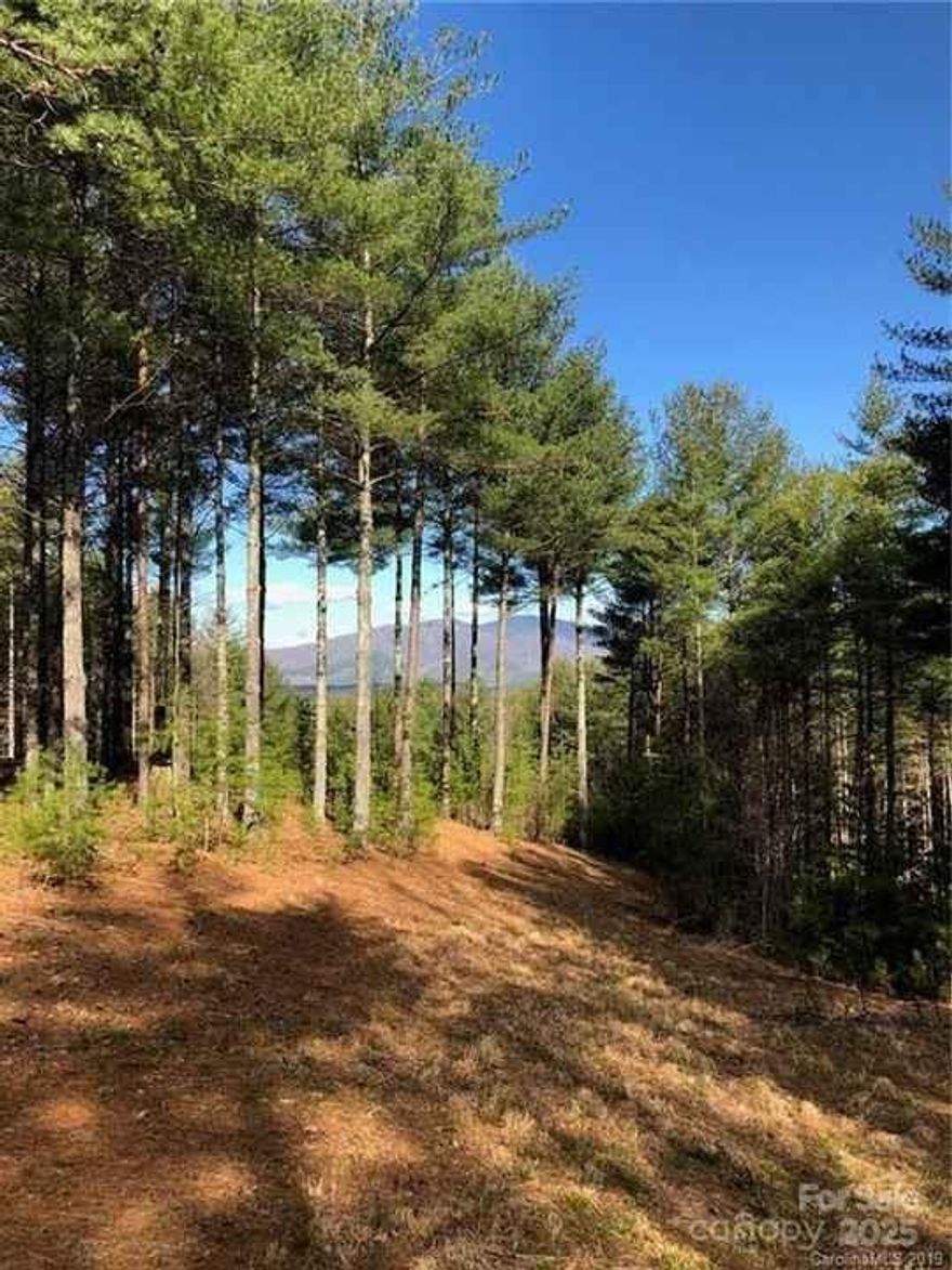 Are you looking for a spot to build a truly wonderful mountain retreat? Well look no further than this lot in the Old Wildlife Club subdivision. This great, quiet, peaceful lot offers so much as it has the ability to build either on a slab, a crawlspace, or basement depending on how far back you want to sit! In such a wonderful subdivision this is truly a treat as the OWC subdivision has so much to offer you could go on and on! Don't forget about the boat slip that comes with this lot as well. Call today if you are ready to build your lake home.