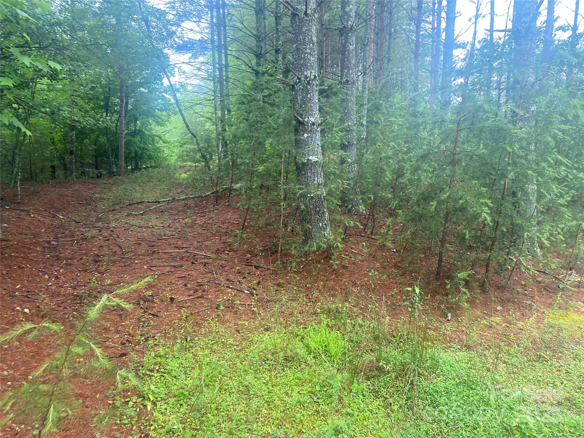 Old Wildlife Club - Land