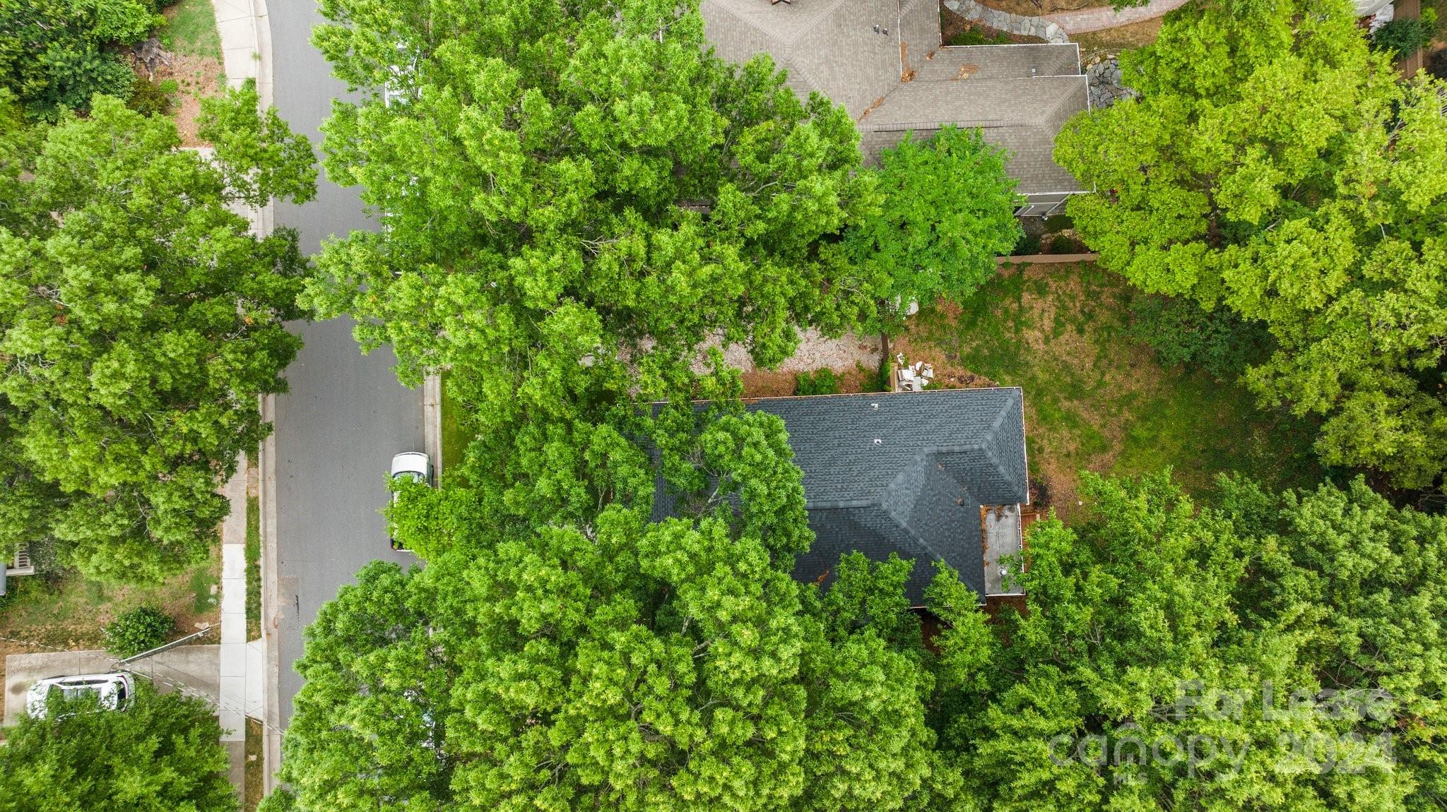 The Arts District - Residential Lease