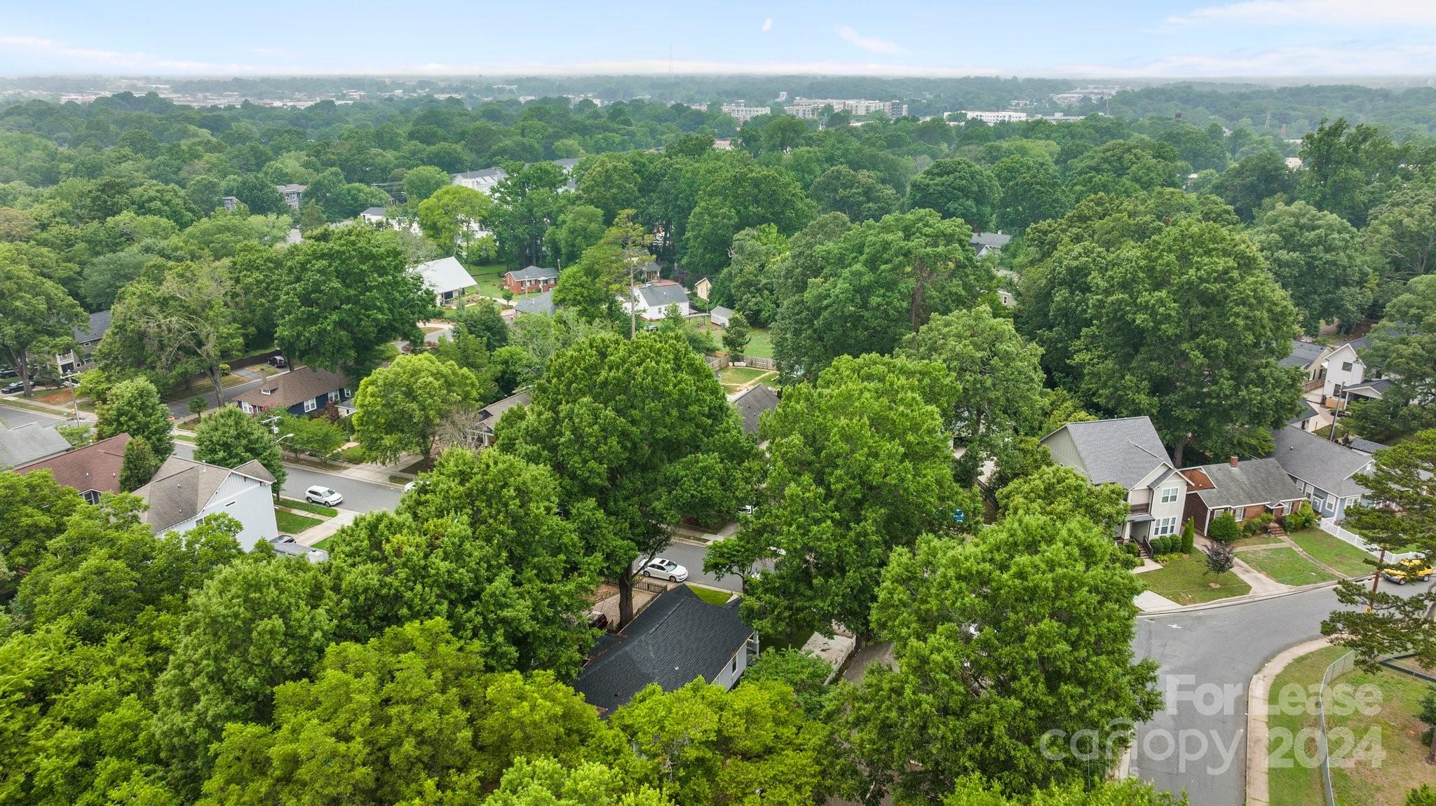 The Arts District - Residential Lease