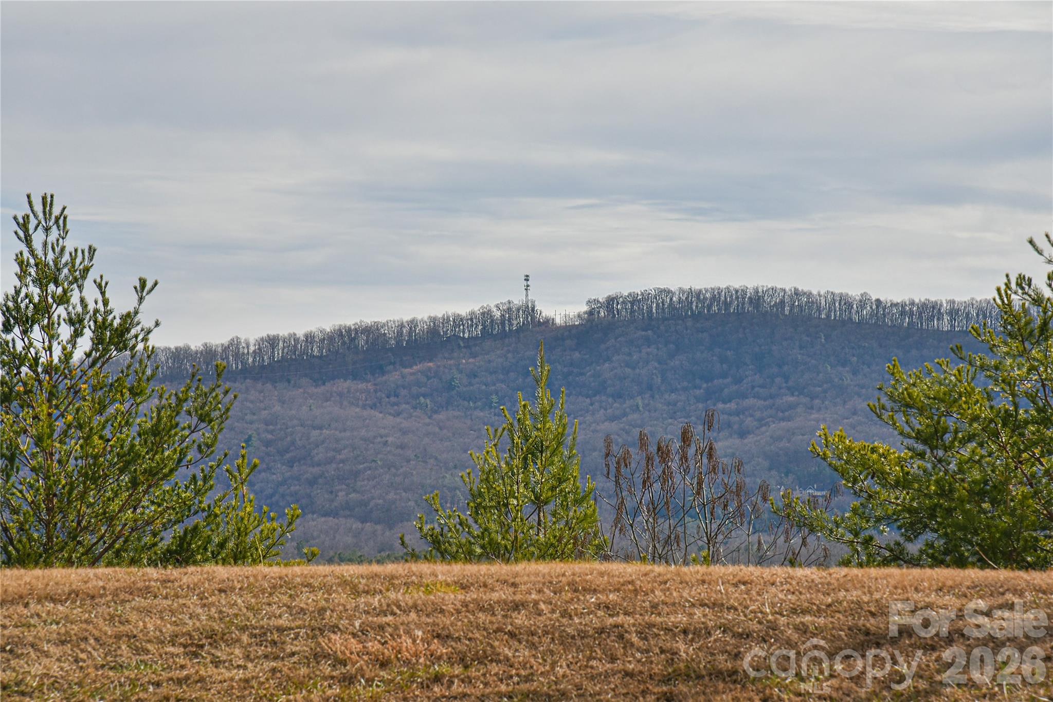 Brigadoon - Residential