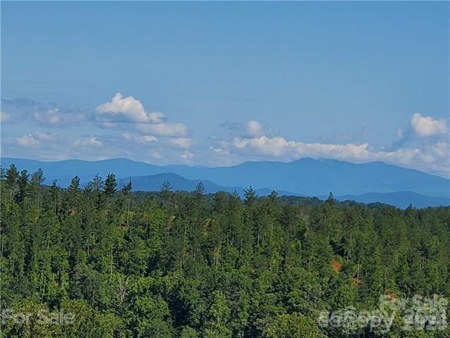 Lake Rhodhiss Estates - Land