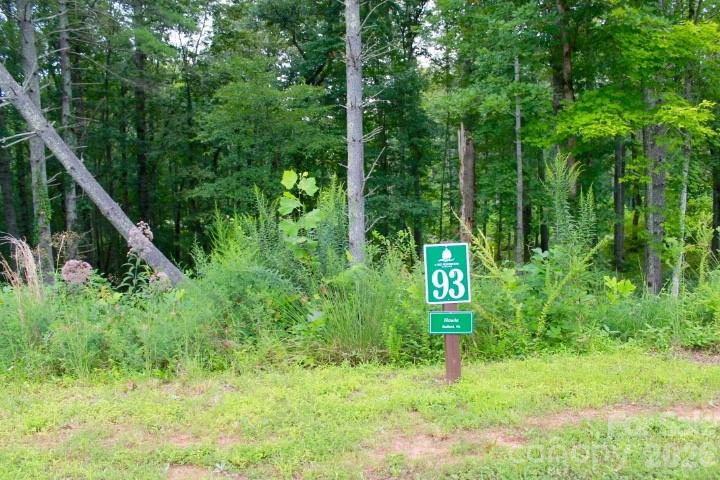 Lake Rhodhiss Estates - Land