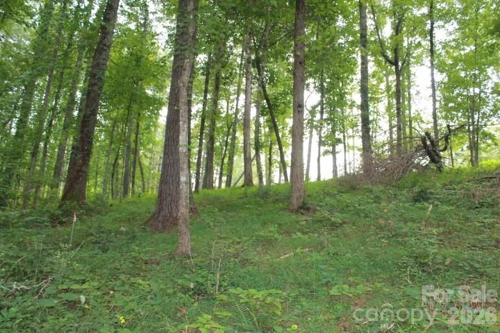 Lake Rhodhiss Estates - Land