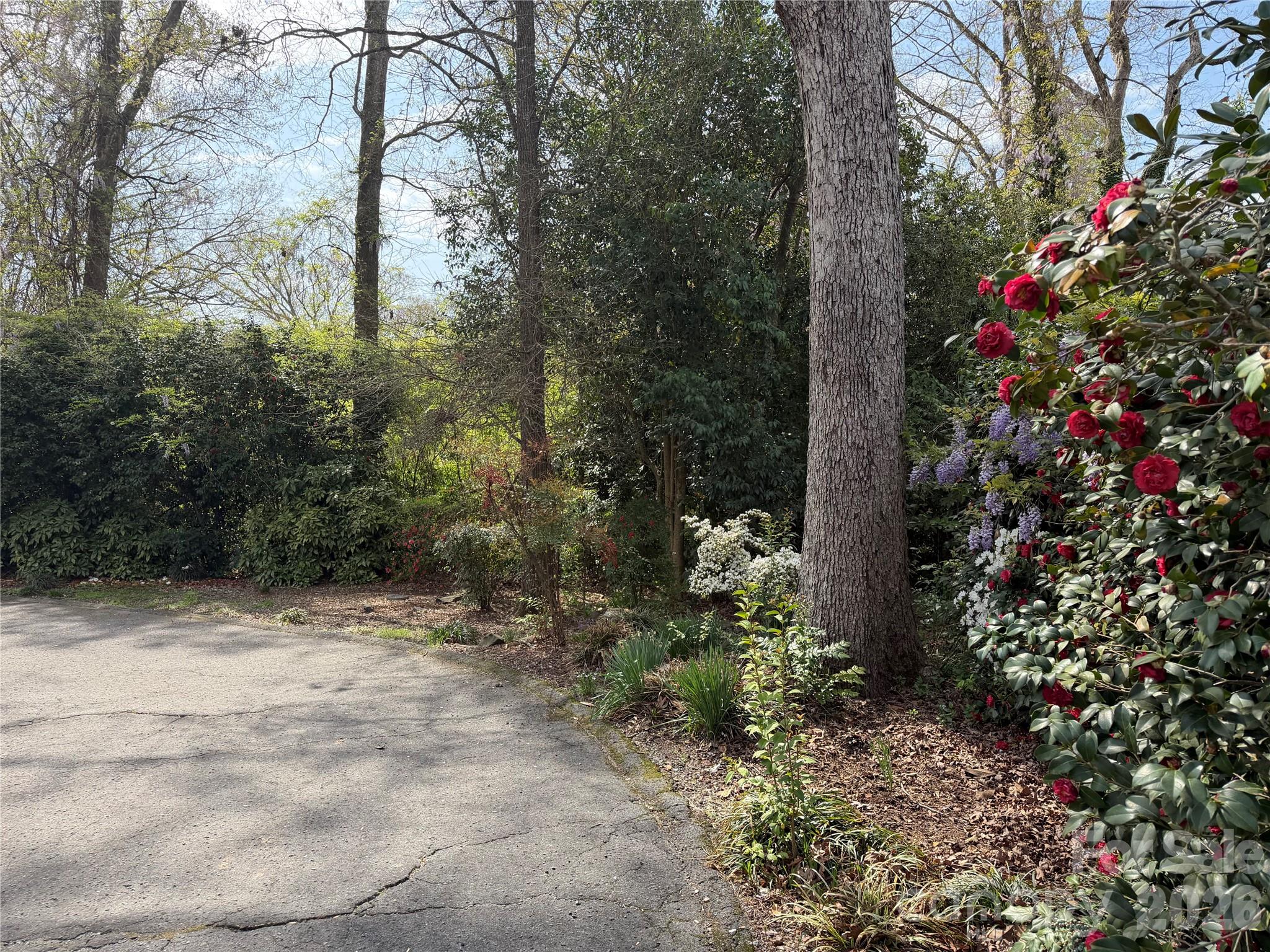 West End - Residential