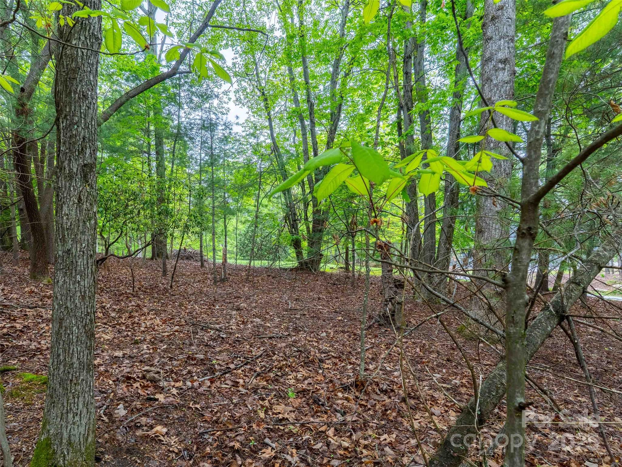 102 Little Cherokee Ridge 83