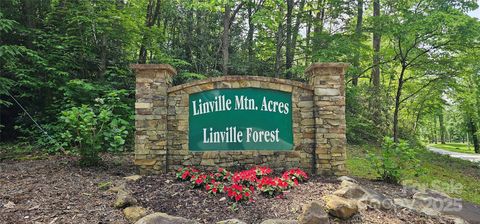 TBD Ridge Cove Drive 54 & 55 Marion NC 28752