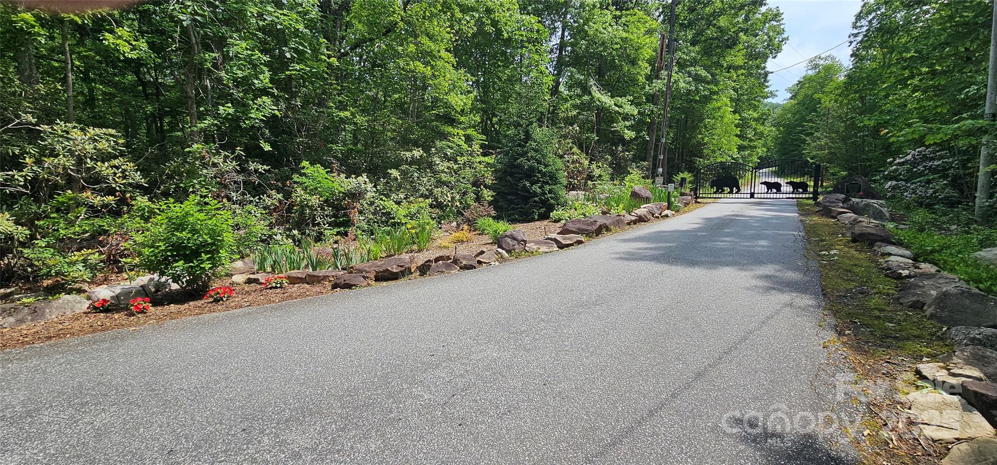 TBD Ridge Cove Drive 54 & 55