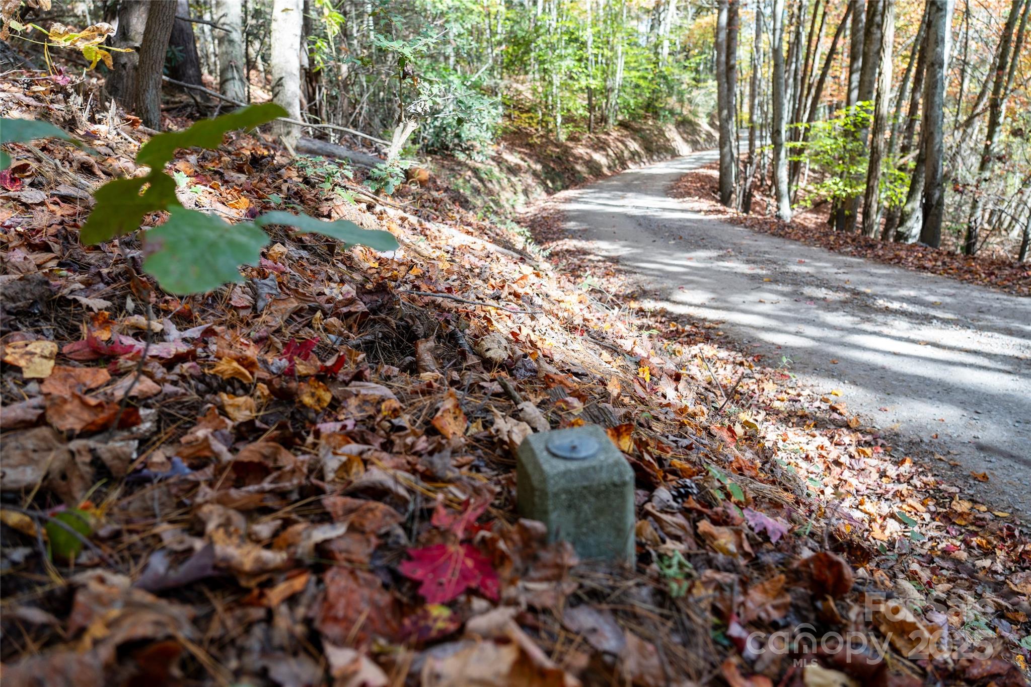 00 Forest Service Road 288 Road