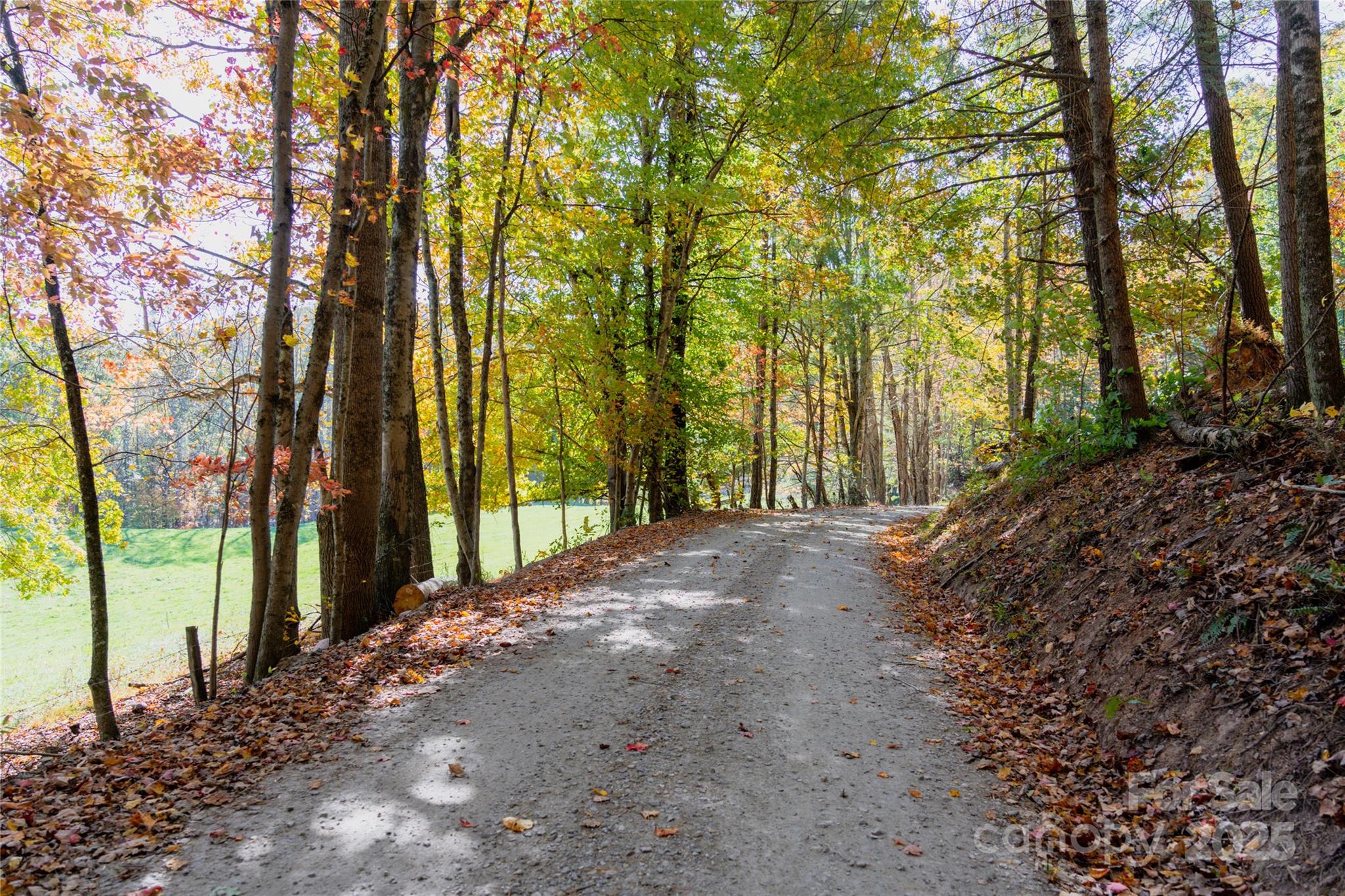 00 Forest Service Road 288 Road