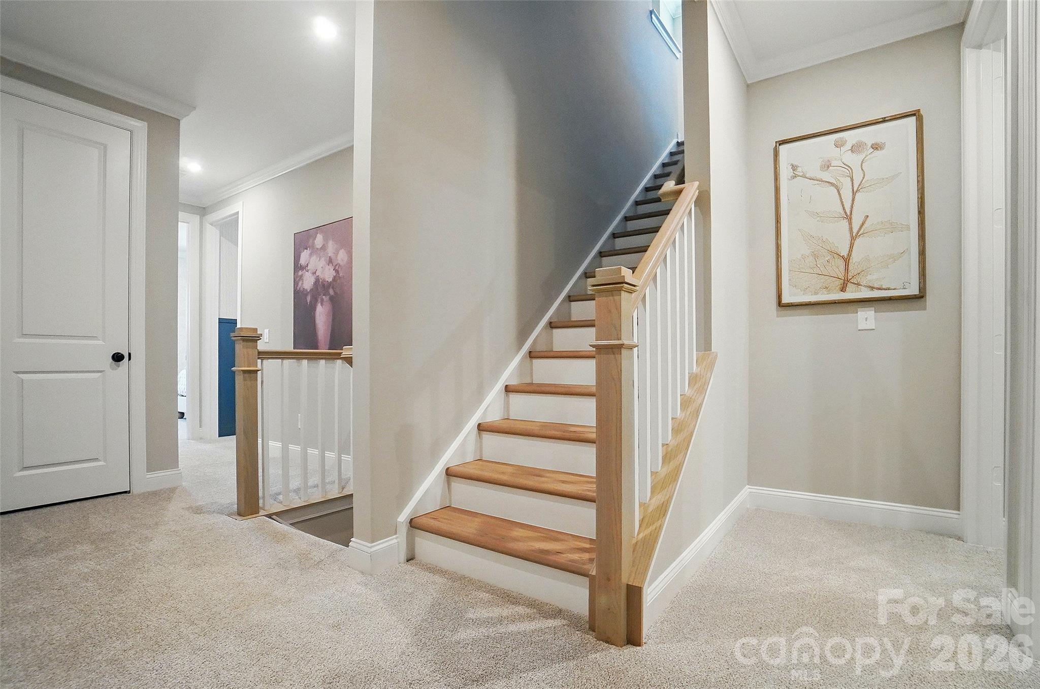 Townes At Wade Ardrey - Residential