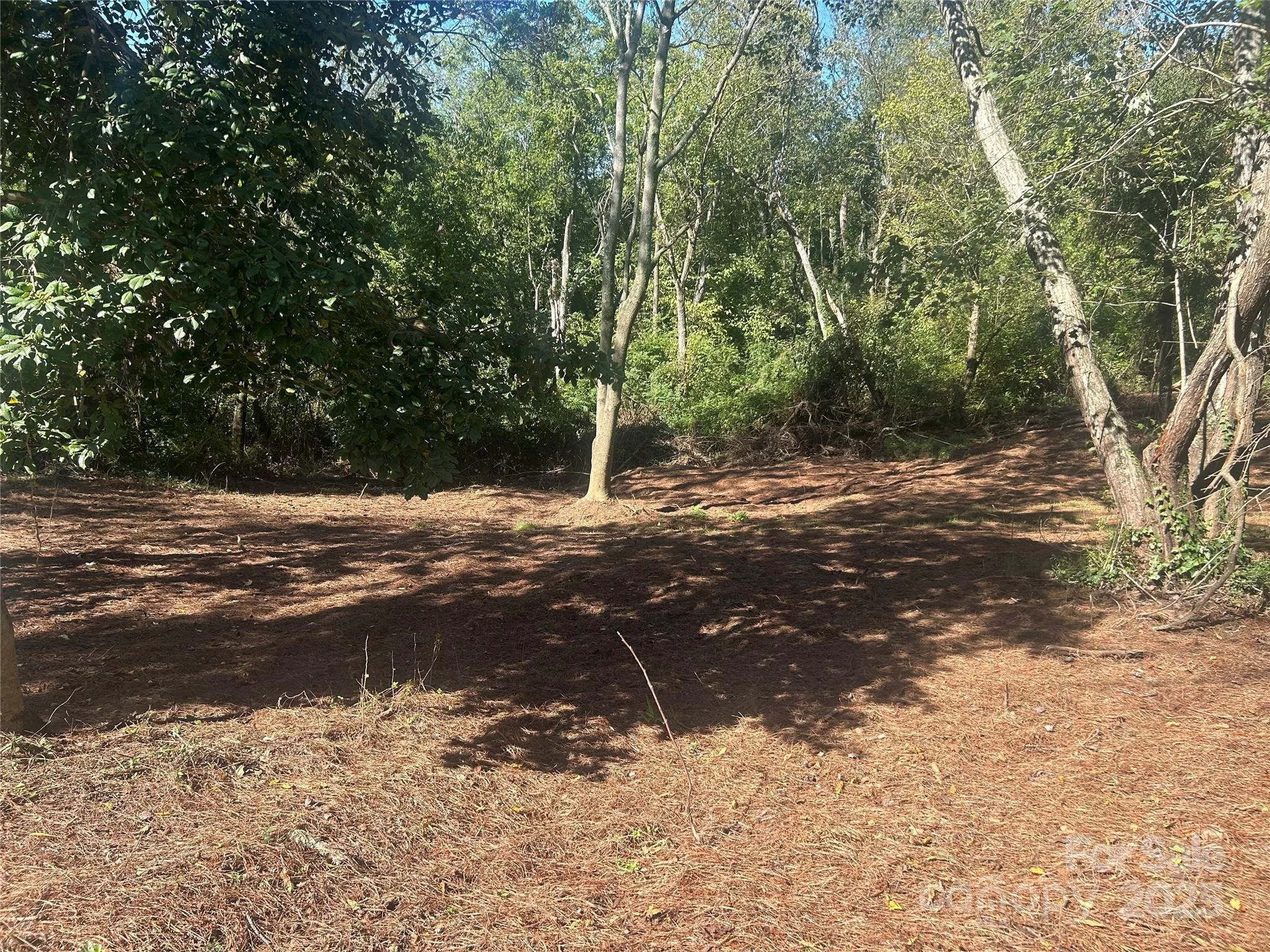 1 View Street Unit 5, Portion 3, Woodfin, NC, 28804