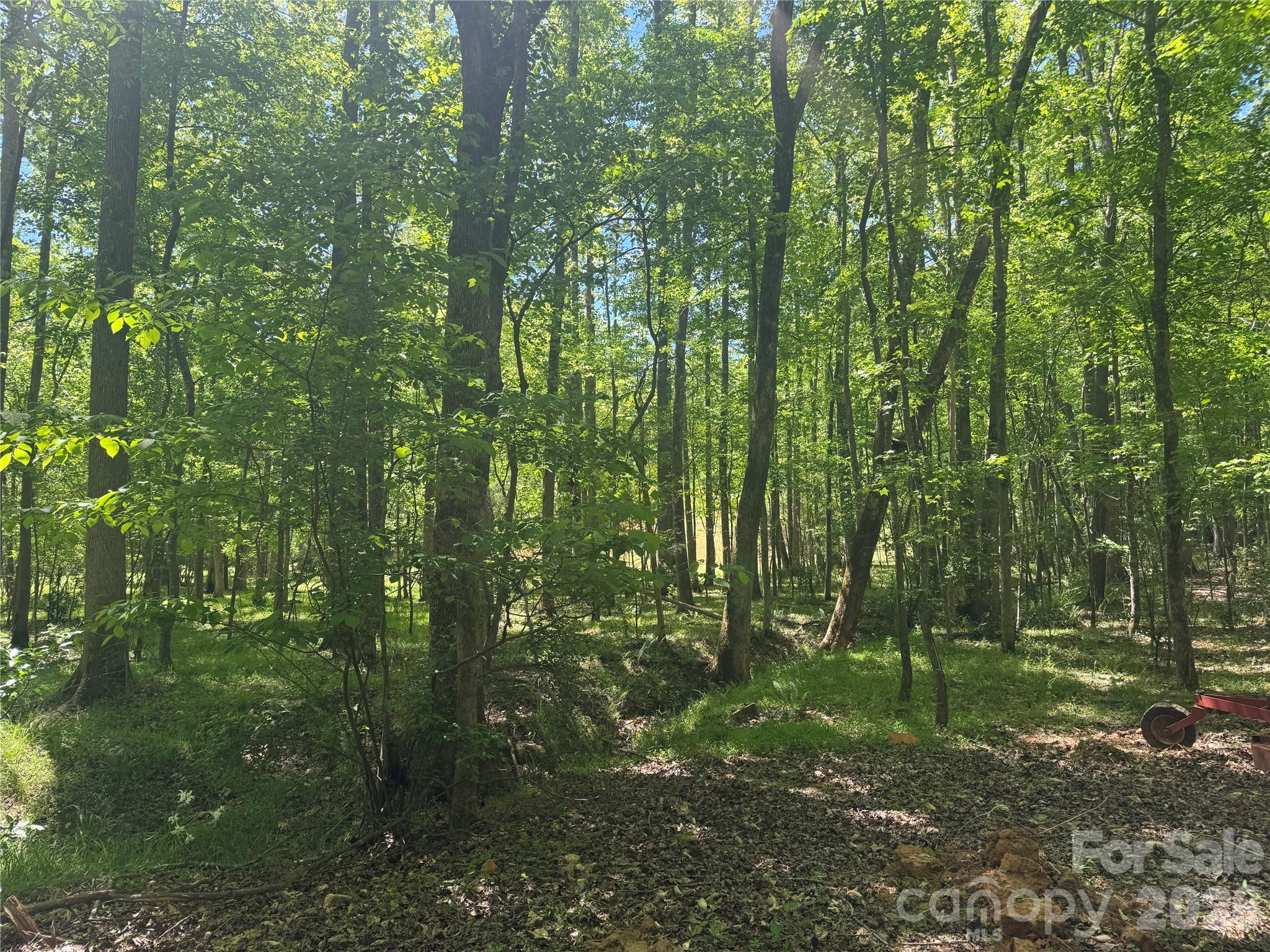 Waxhaw Meadows - Residential