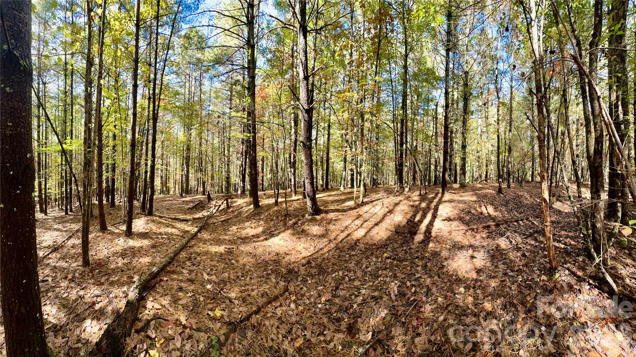 Old Wildlife Club - Land