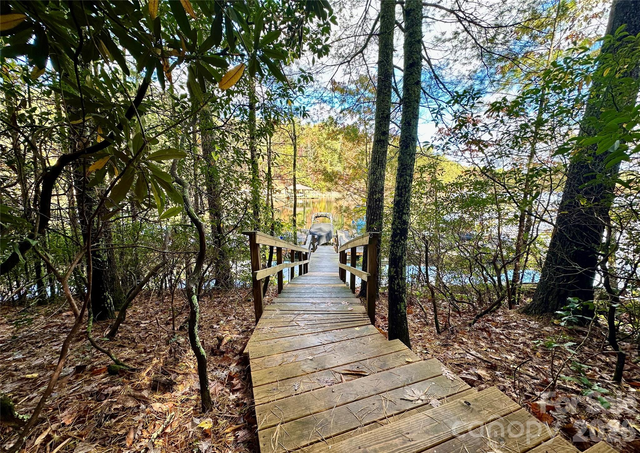 Old Wildlife Club - Land