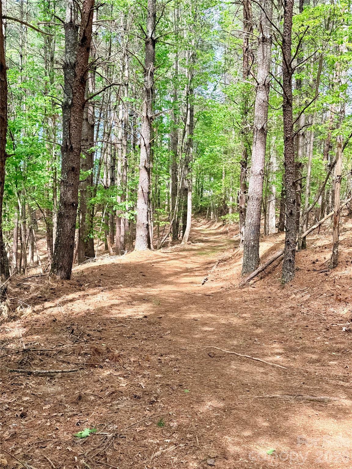 Old Wildlife Club - Land