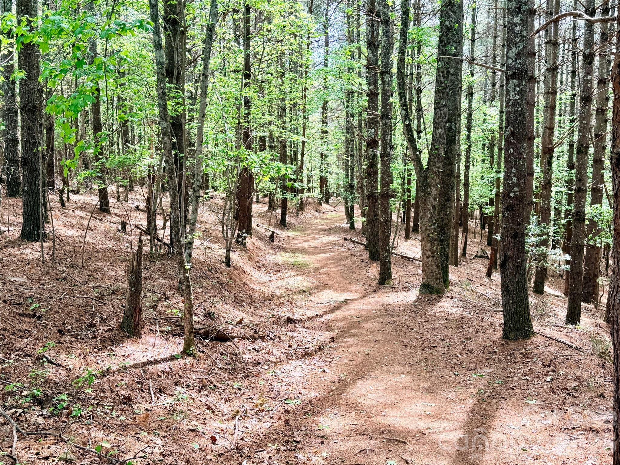 Old Wildlife Club - Land