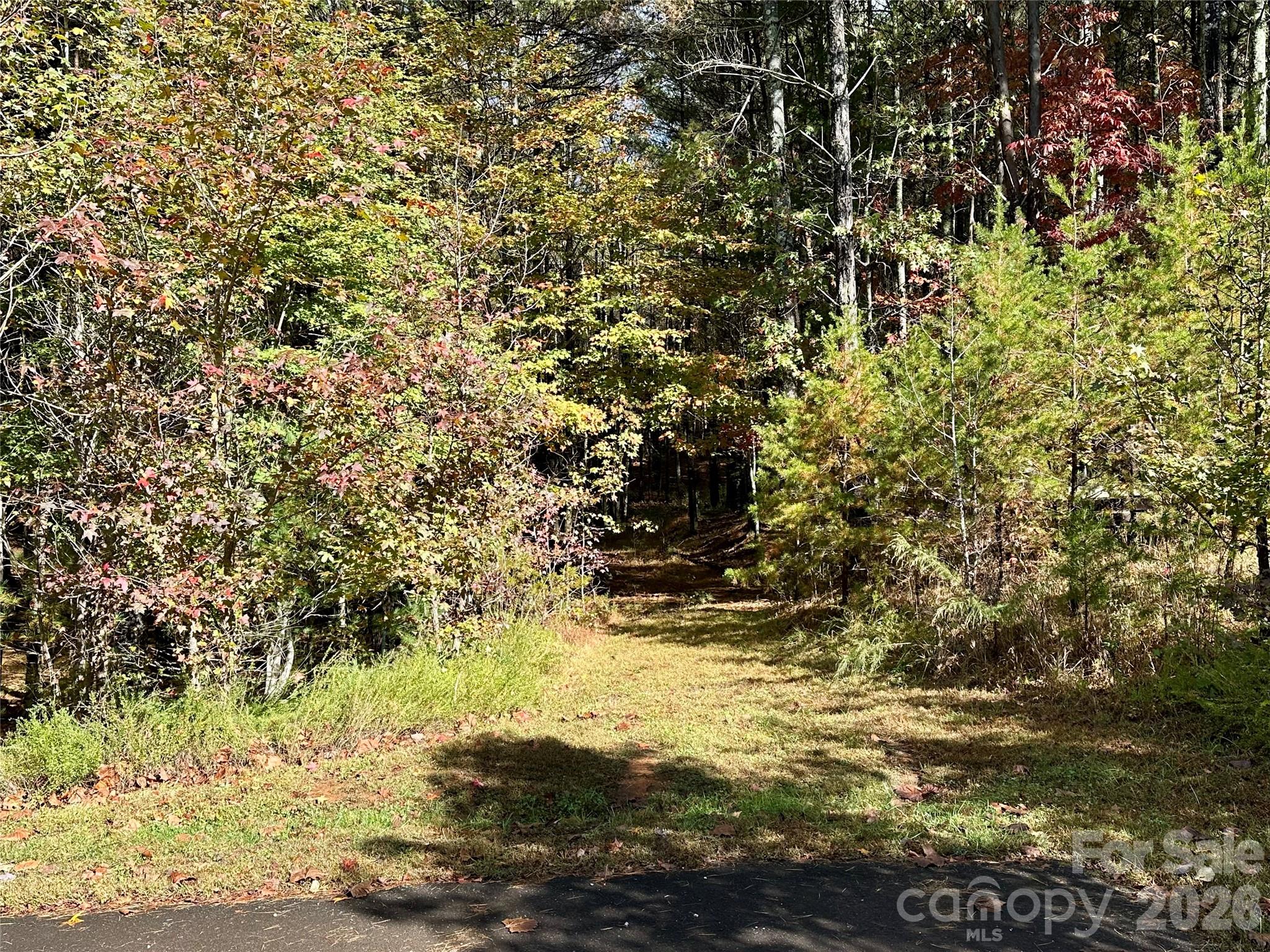 Old Wildlife Club - Land