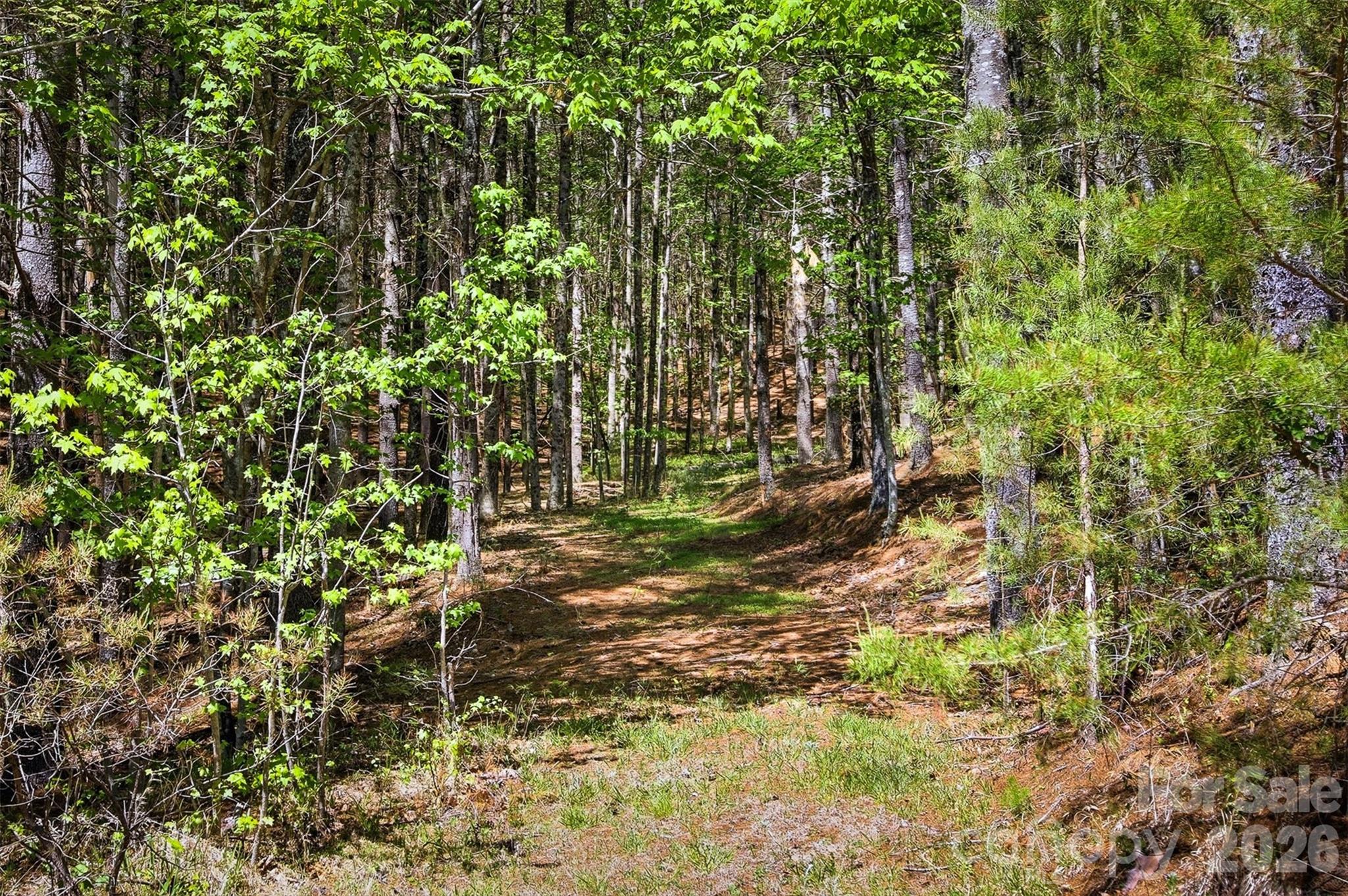 Old Wildlife Club - Land