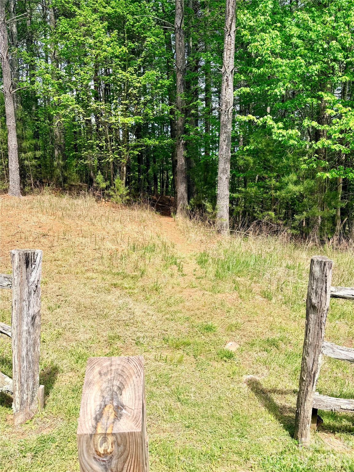 Old Wildlife Club - Land