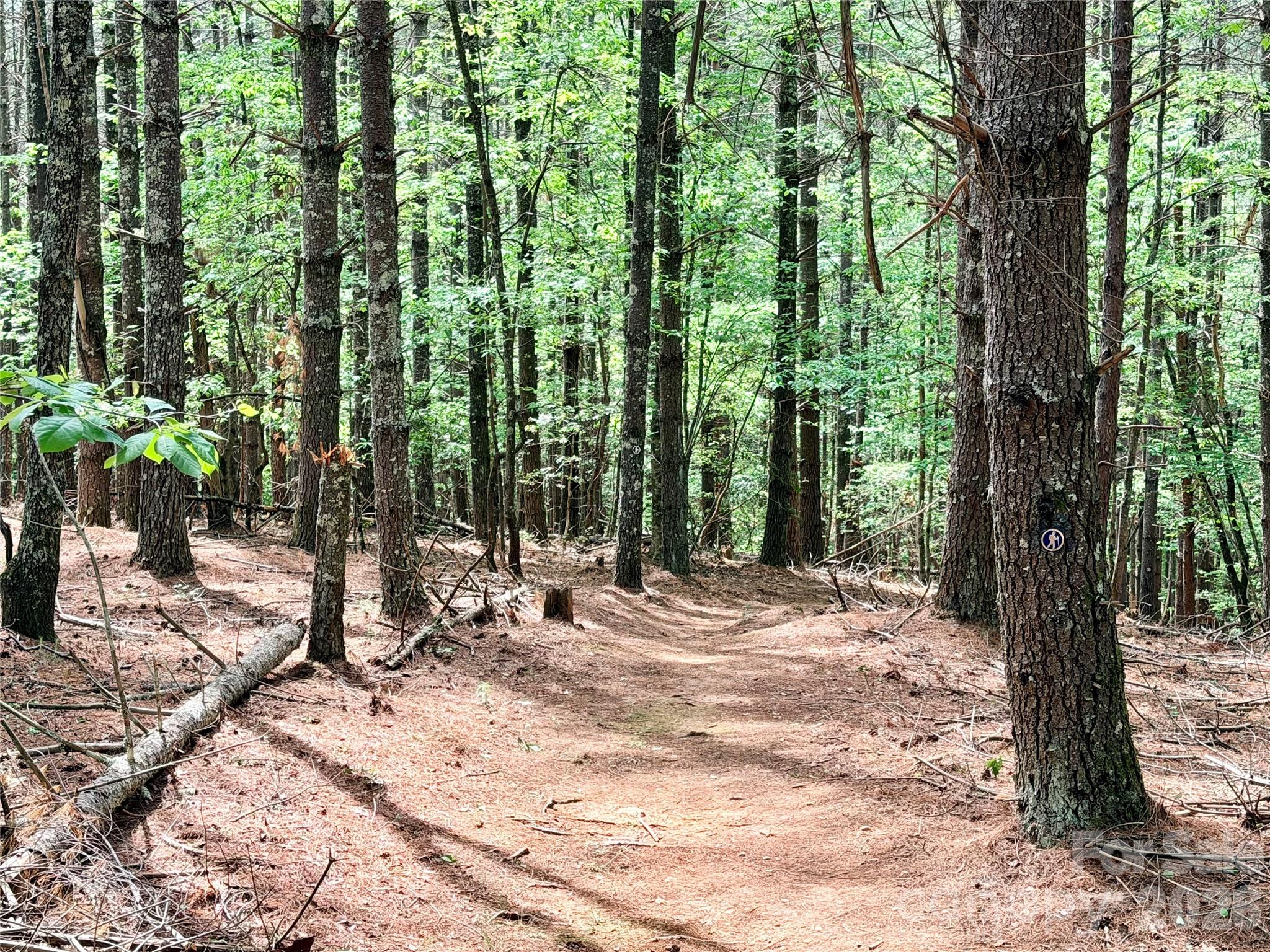 Old Wildlife Club - Land