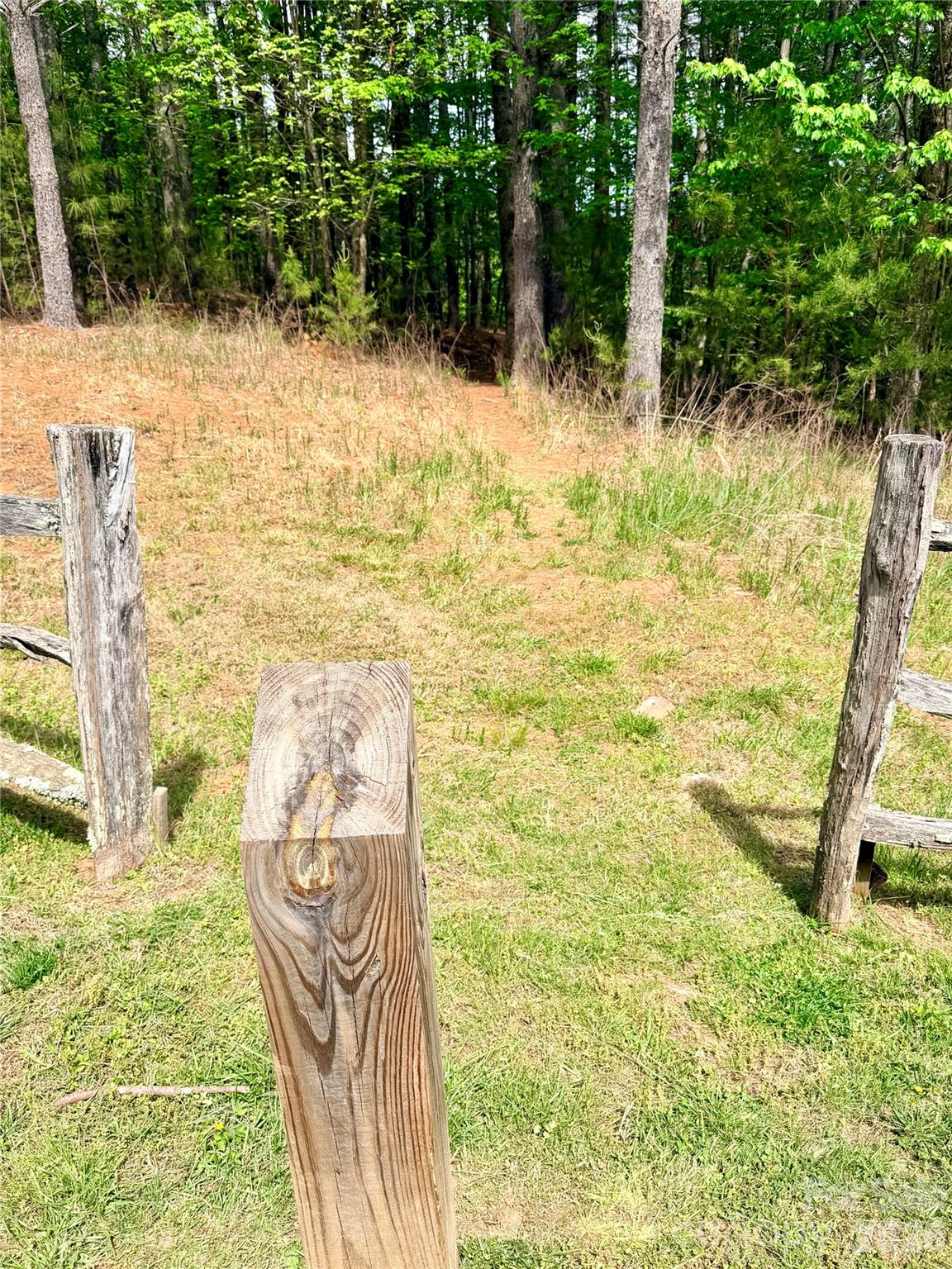 Old Wildlife Club - Land