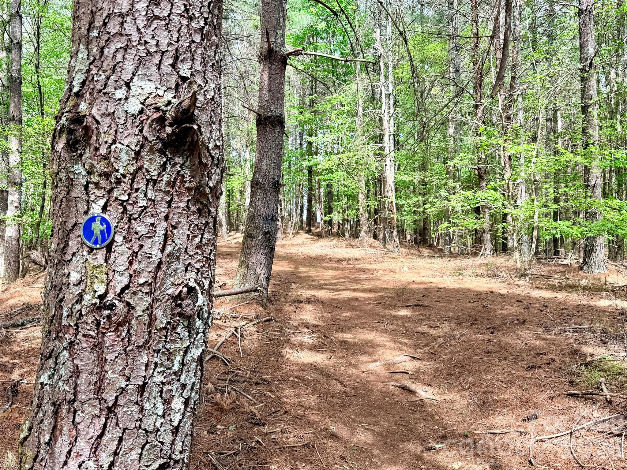 Old Wildlife Club - Land