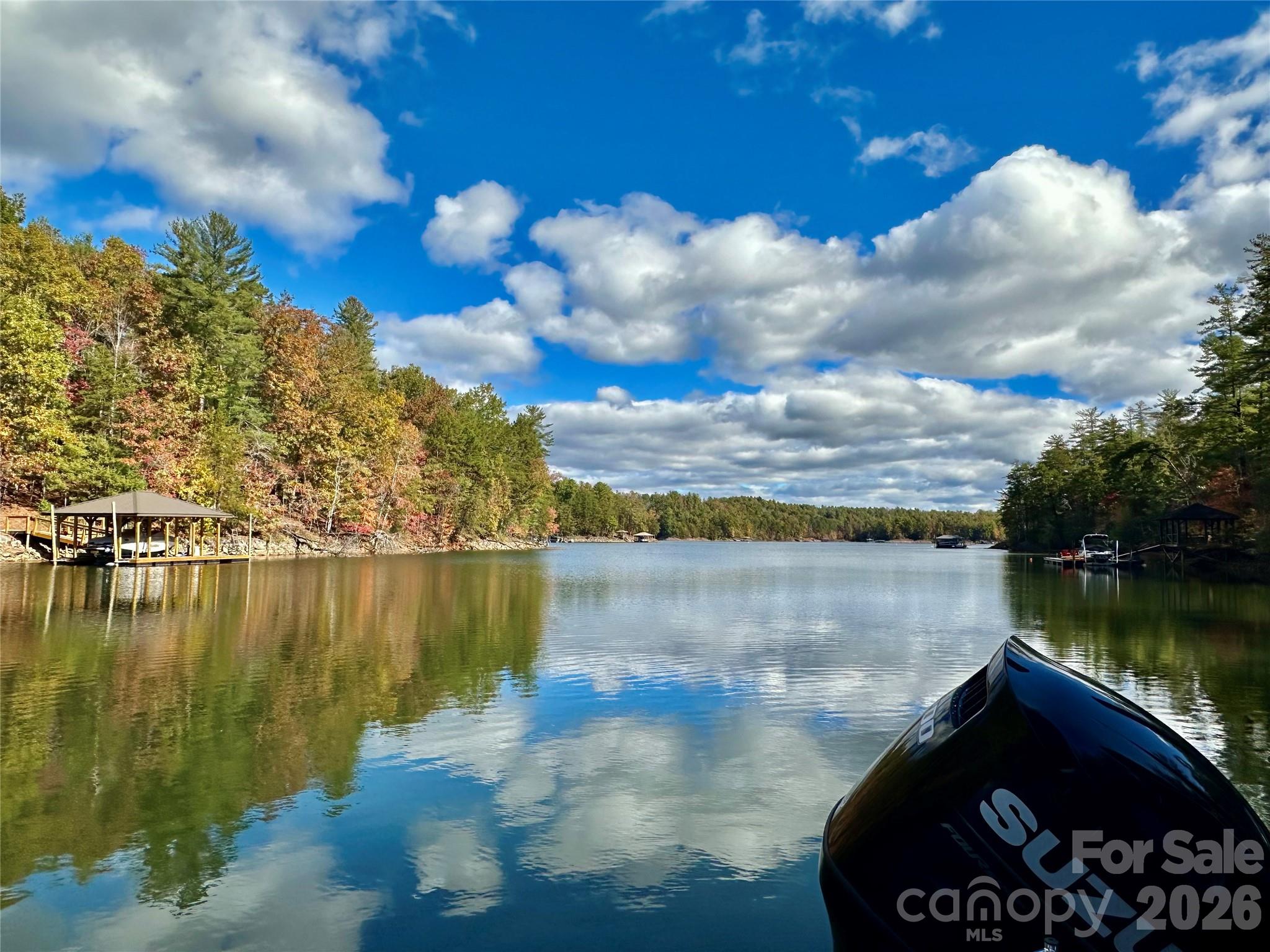 Old Wildlife Club - Land