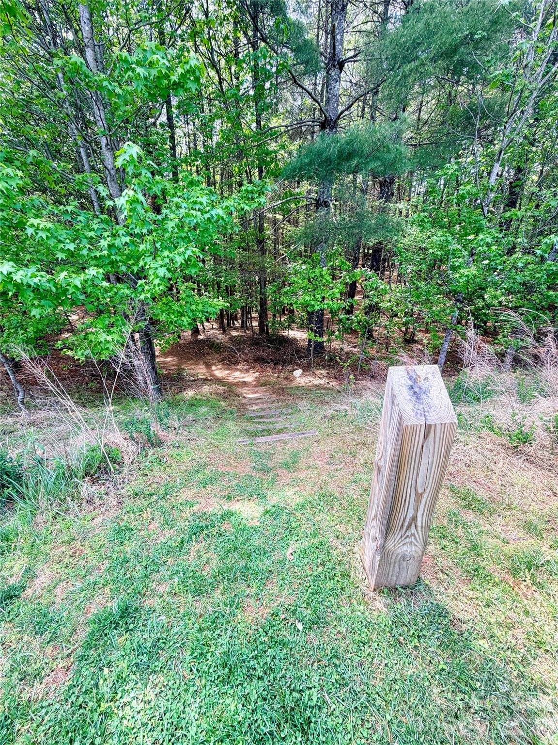 Old Wildlife Club - Land