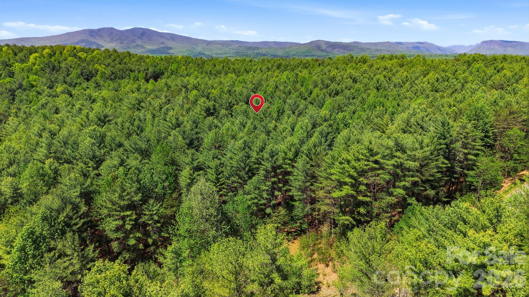 Old Wildlife Club - Land