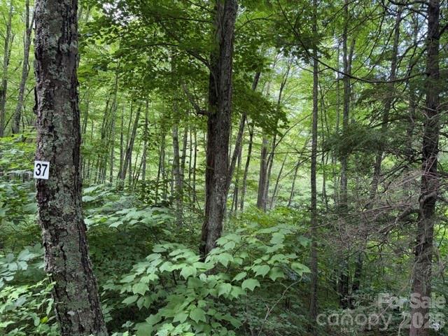Lot 37 Odalu Trail 37