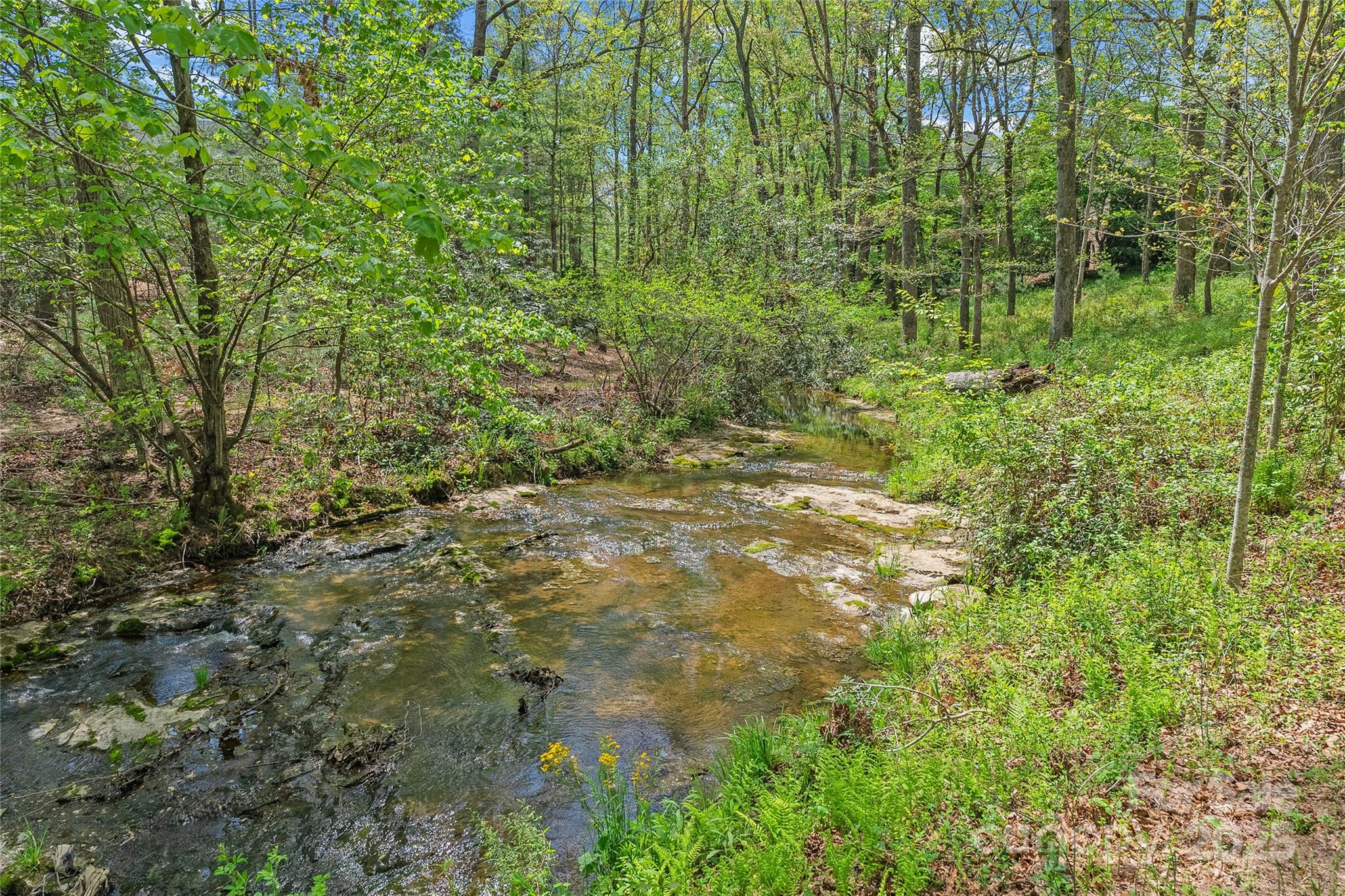 99999 Misty Valley Parkway 2