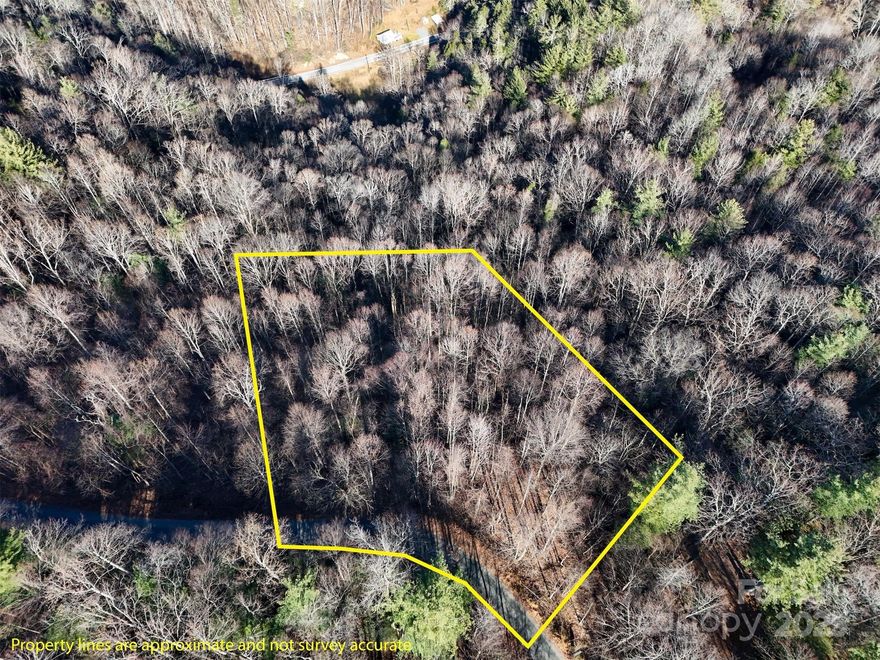 Situated on 5.83 acres in the mountains of Millers Creek, this property offers an exceptional opportunity to build! With excellent road access and expansive mountain views, the lot provides a great foundation for a second home, vacation retreat, or private mountain residence.

Acreage allows for flexibility in home placement while maintaining privacy and a natural feeling to it. The surrounding landscape offers a peaceful environment with long-range views and a sense of seclusion, yet remains conveniently accessible.