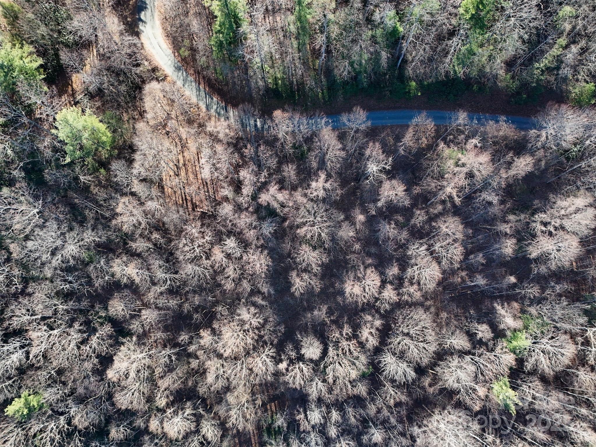 Jade Mountain - Land