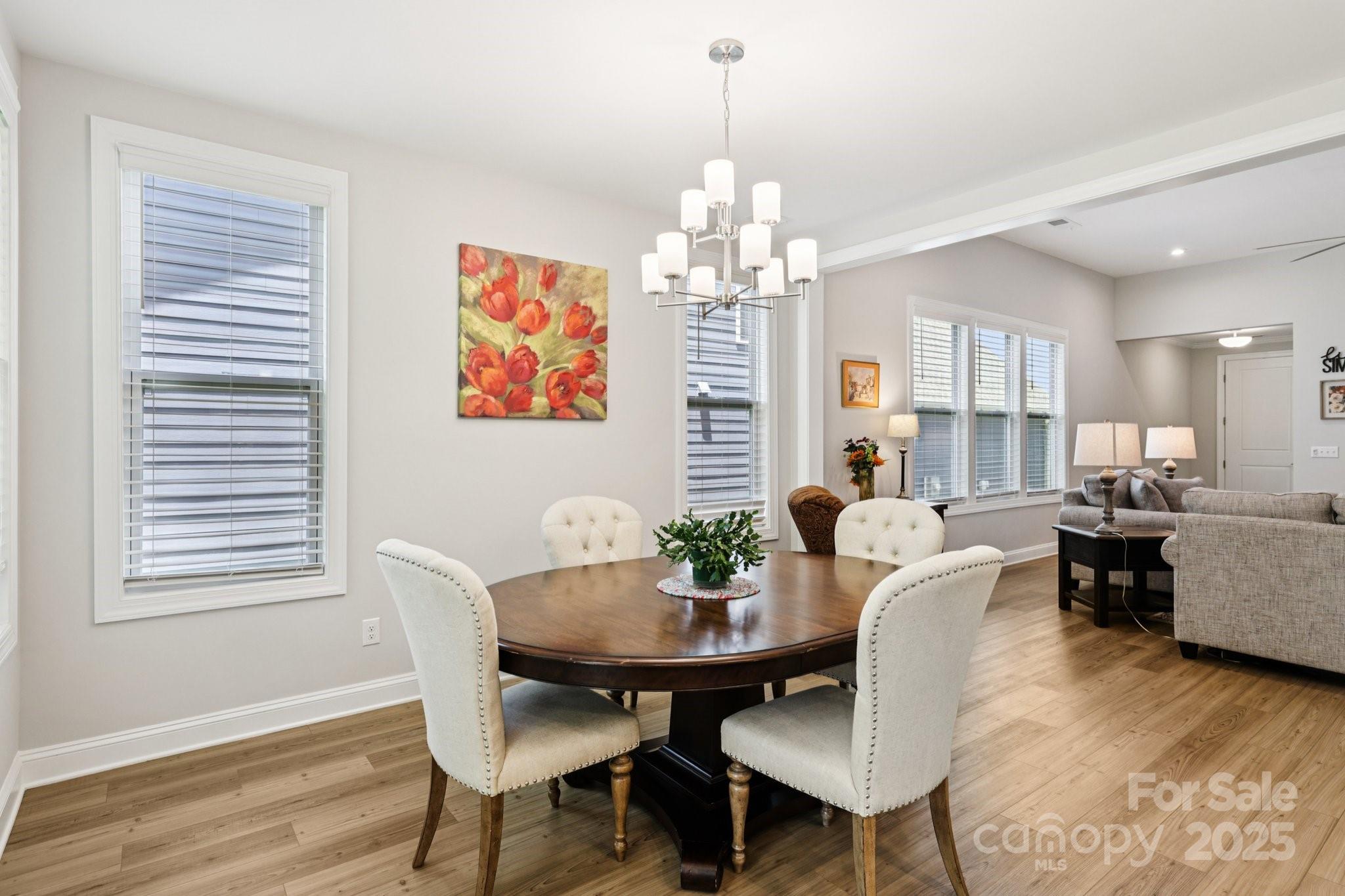 Handsmill on Lake Wylie - Residential