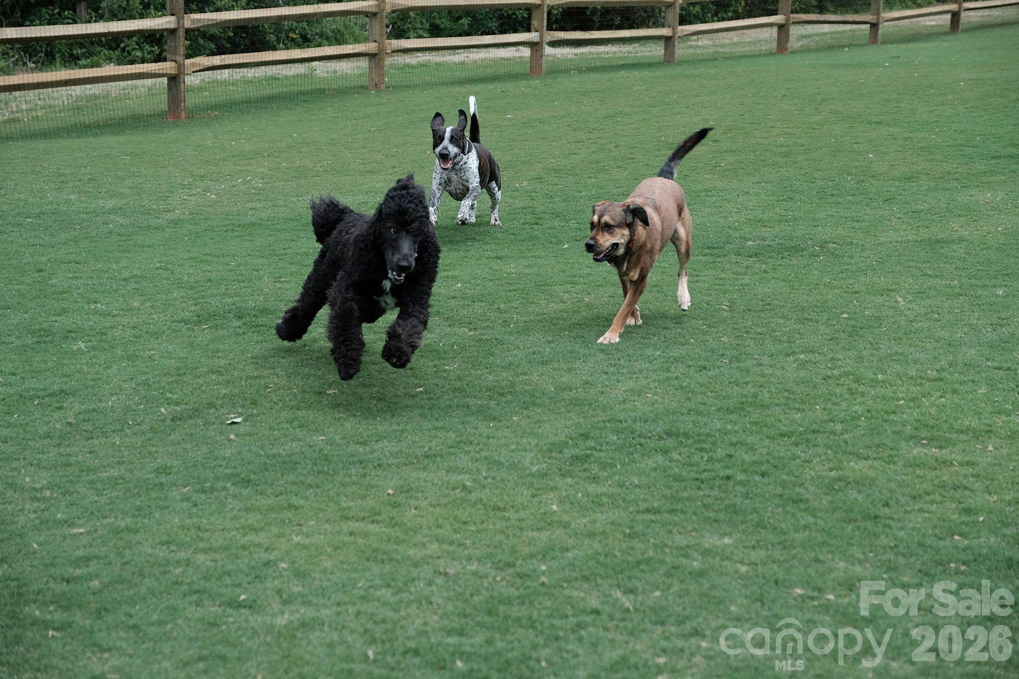 River Hills - Residential