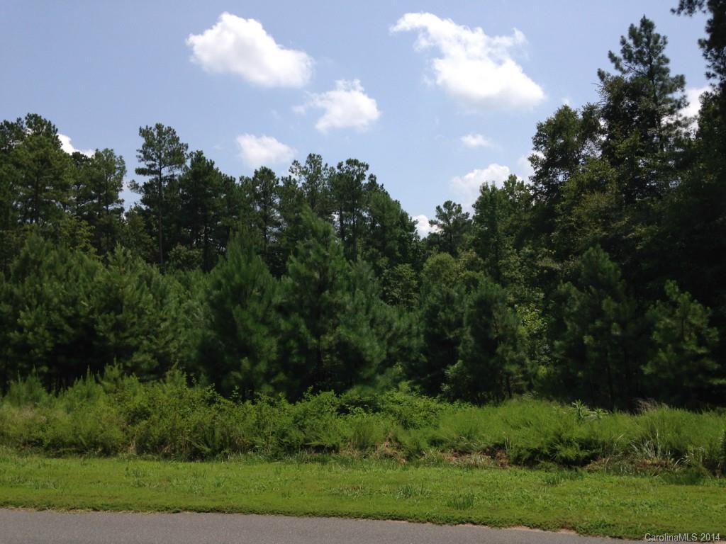 Trinity Ridge - Land