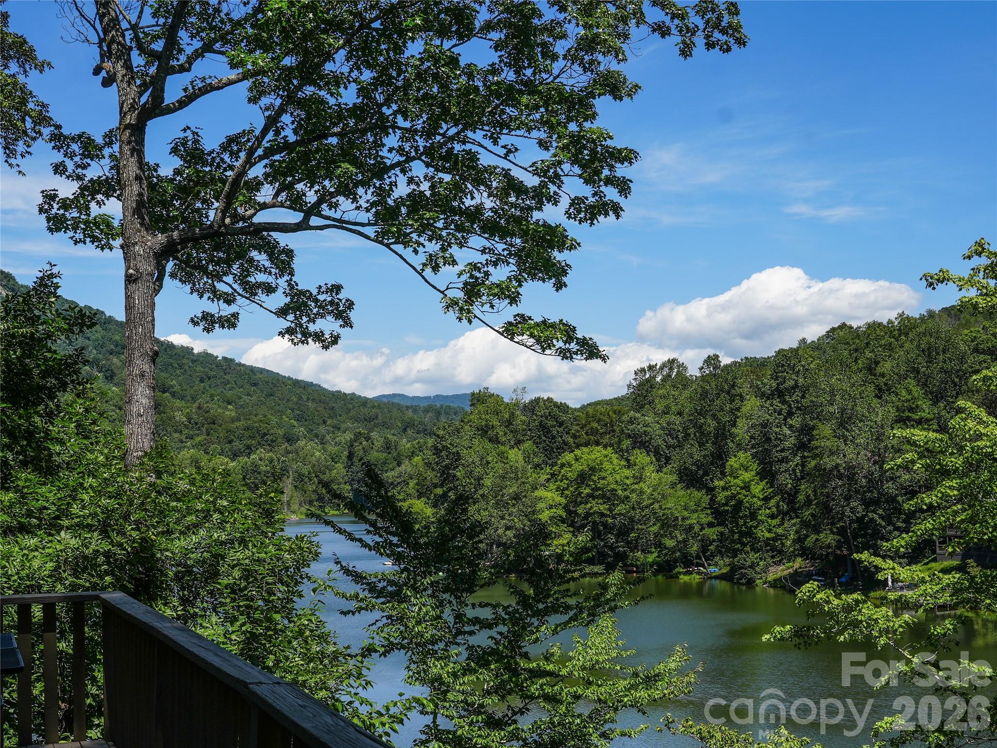 Rumbling Bald on Lake Lure - Residential