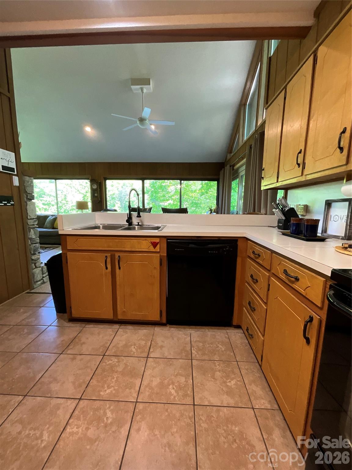 Rumbling Bald on Lake Lure - Residential