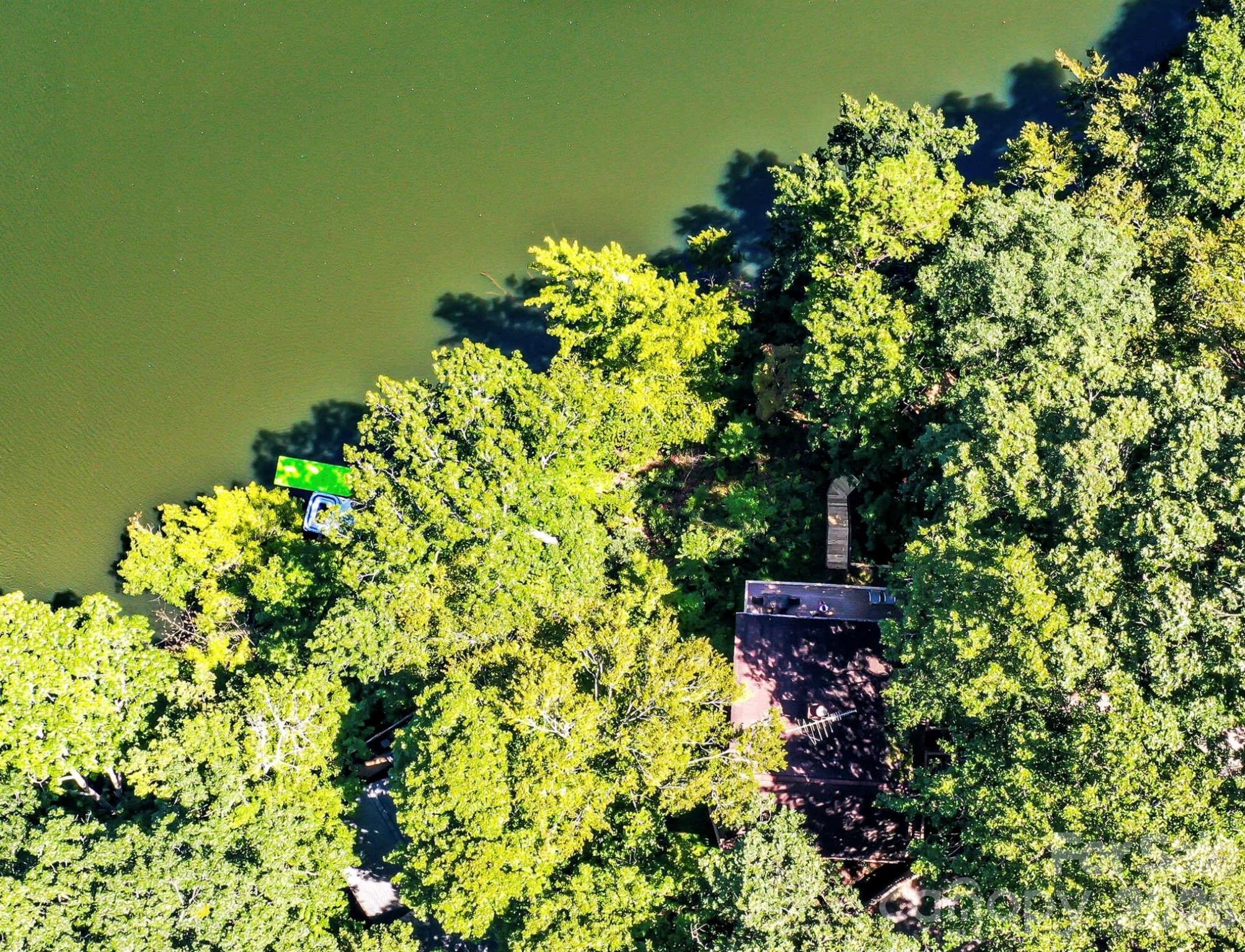 Rumbling Bald on Lake Lure - Residential