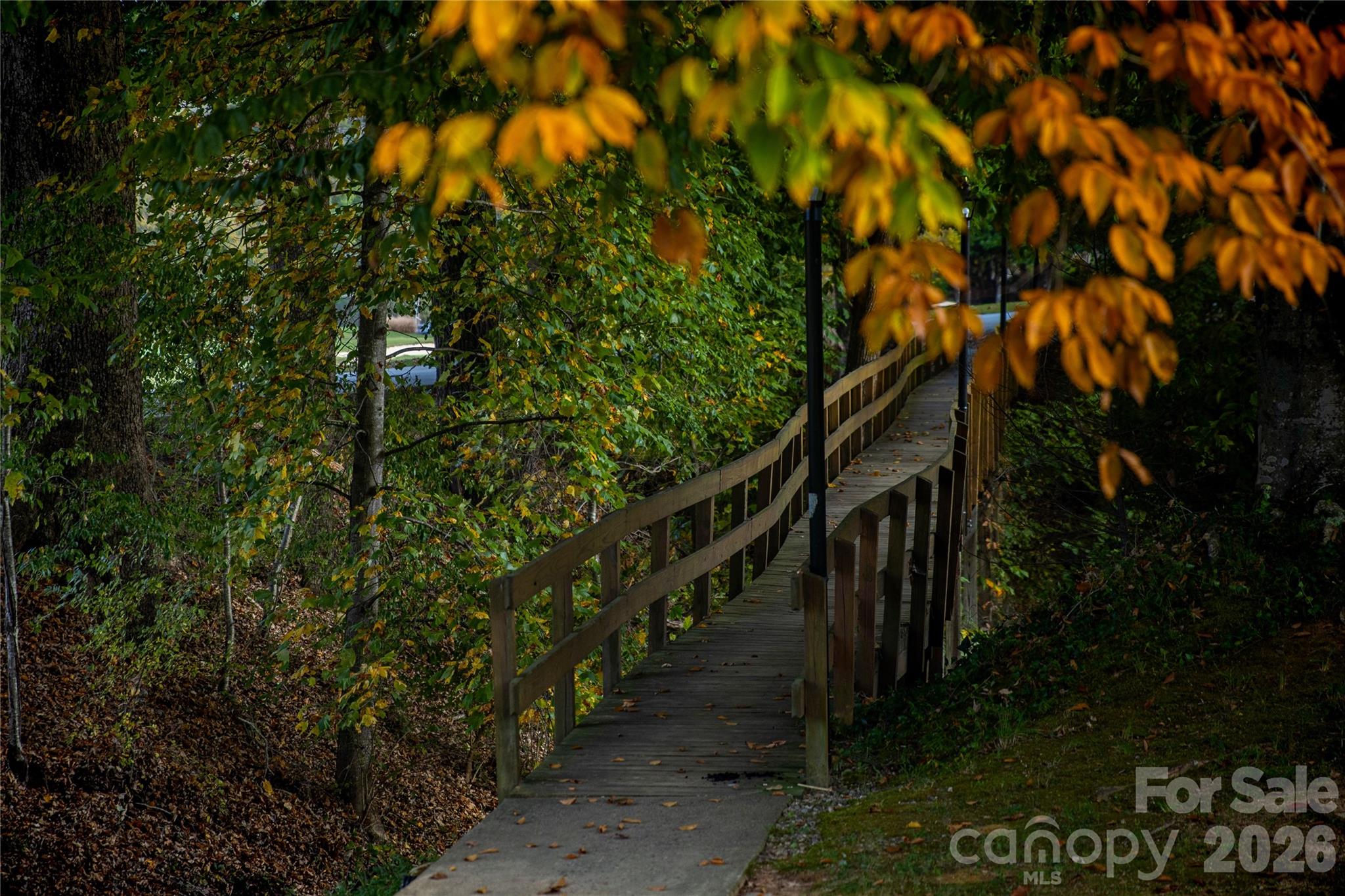 Rumbling Bald on Lake Lure - Residential