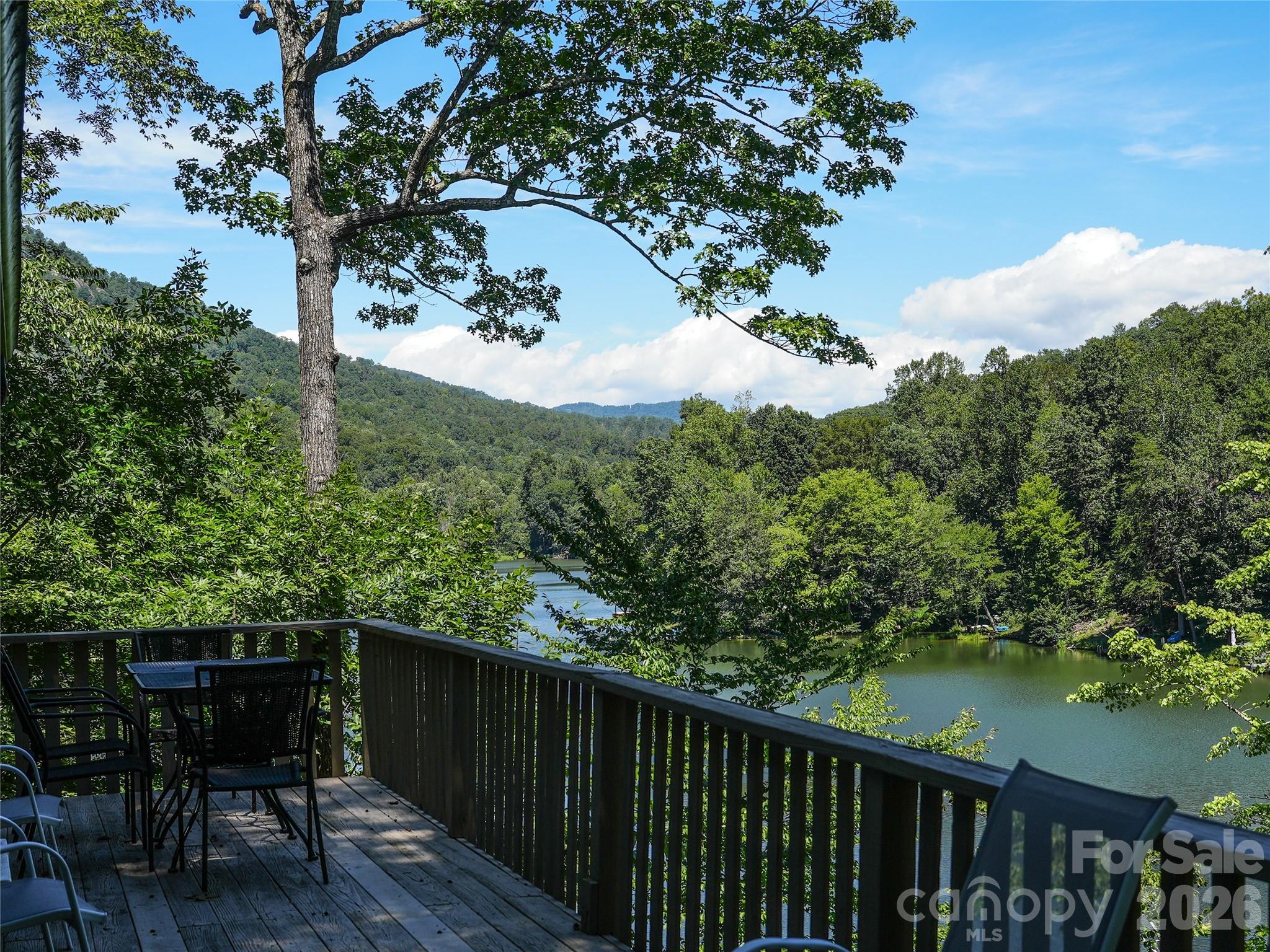 Rumbling Bald on Lake Lure - Residential