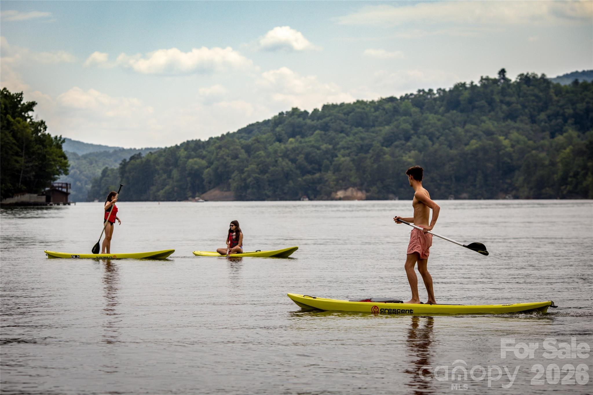 Rumbling Bald on Lake Lure - Residential