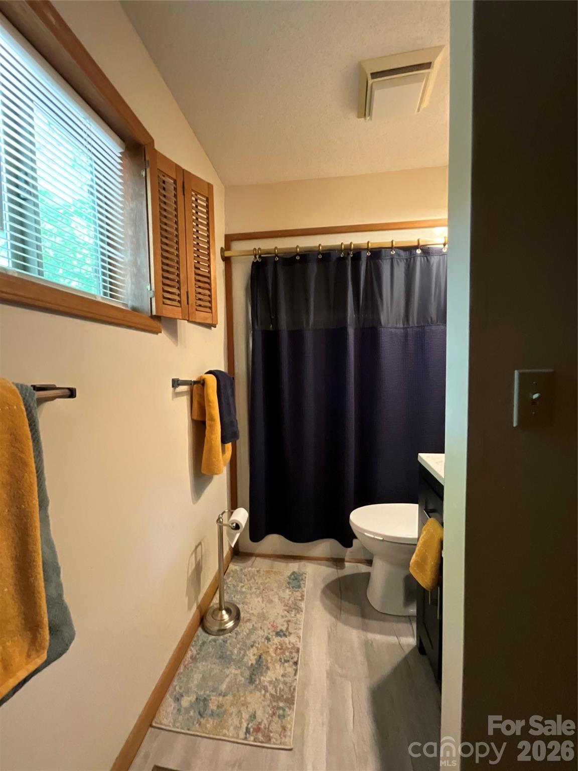 Rumbling Bald on Lake Lure - Residential