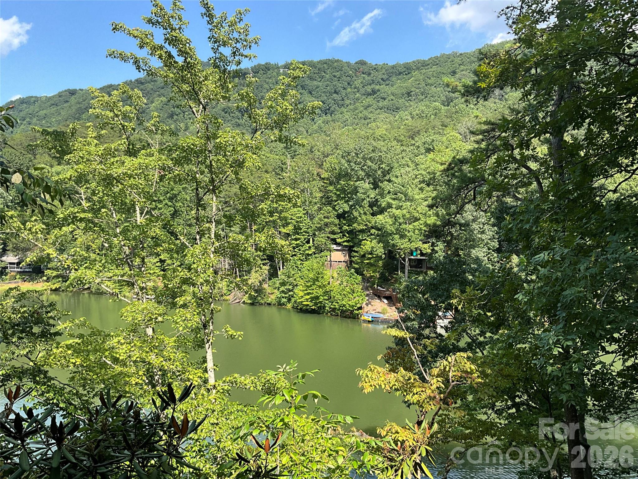 Rumbling Bald on Lake Lure - Residential