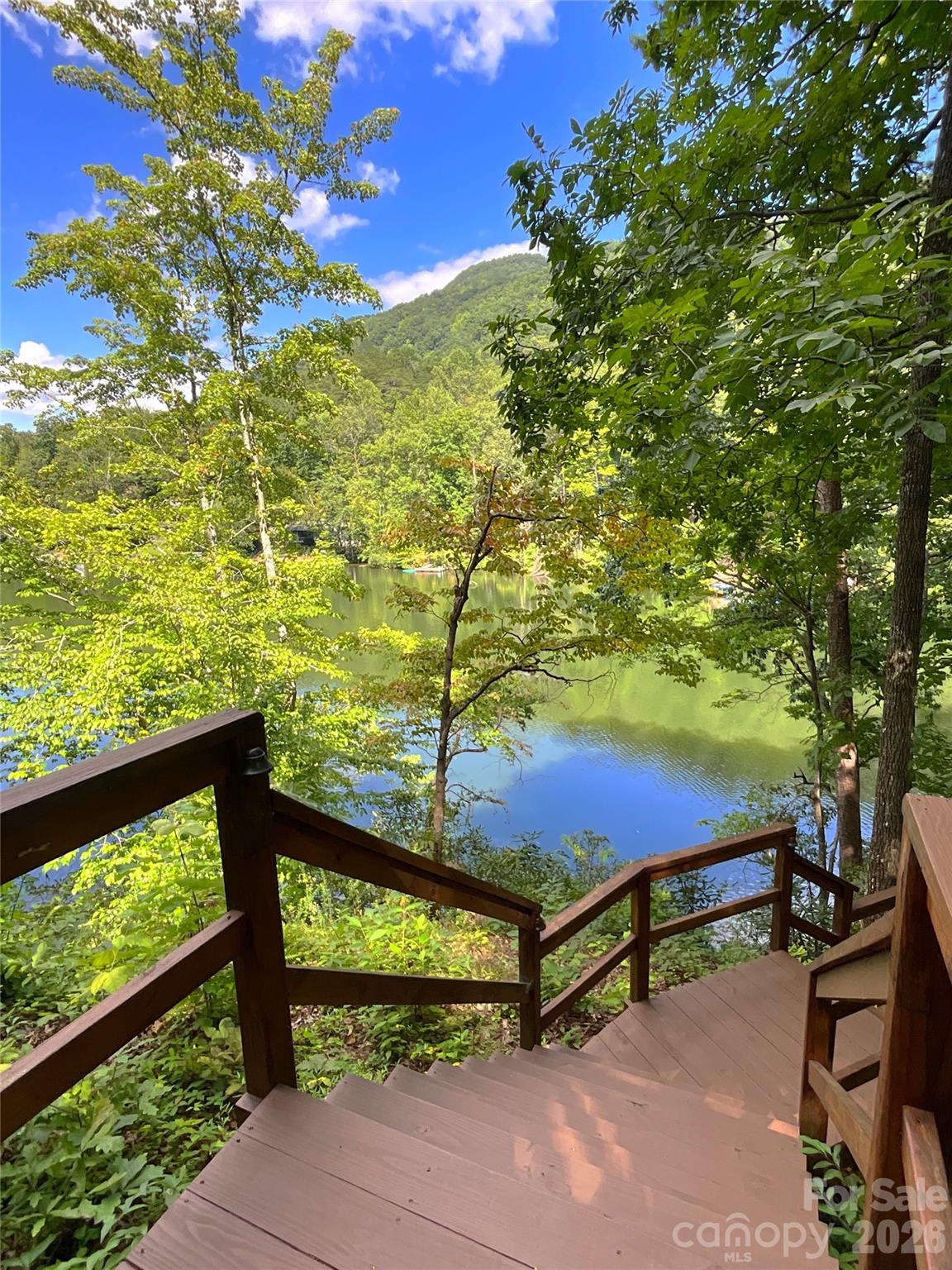 Rumbling Bald on Lake Lure - Residential
