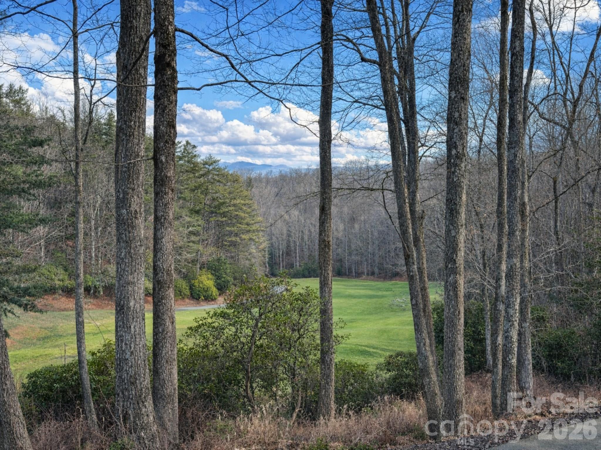 Connestee Falls - Land