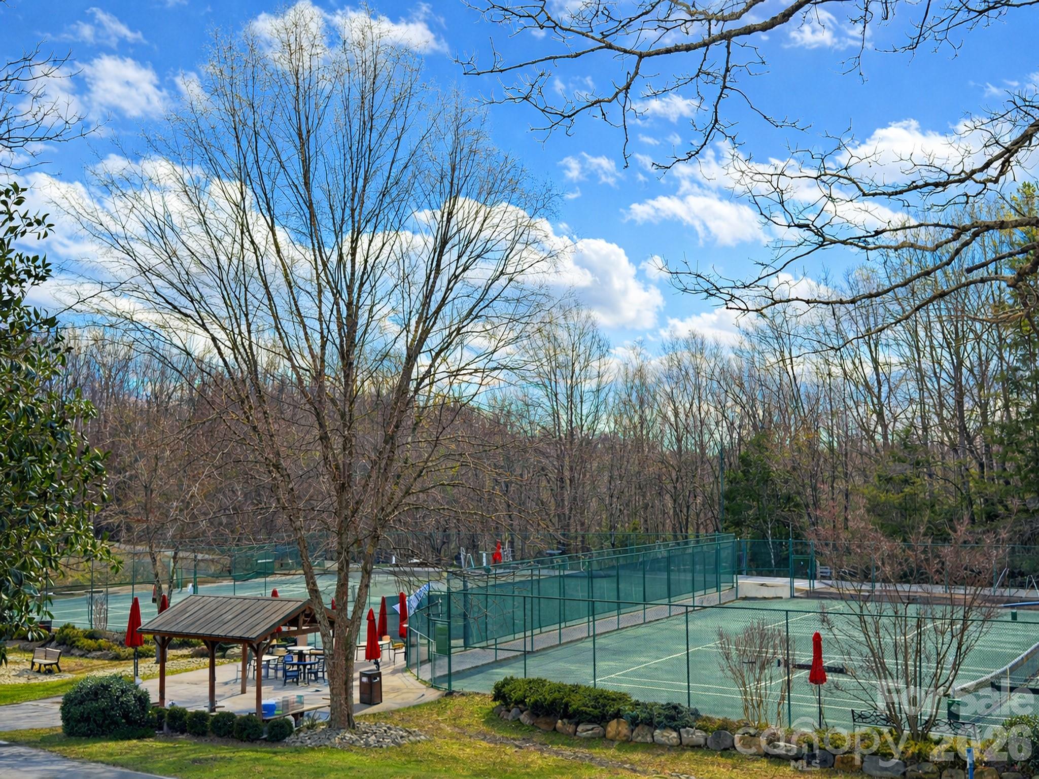 Connestee Falls - Land