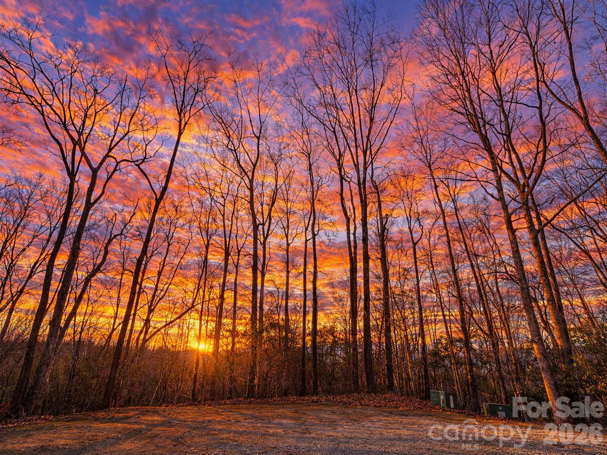Connestee Falls - Land