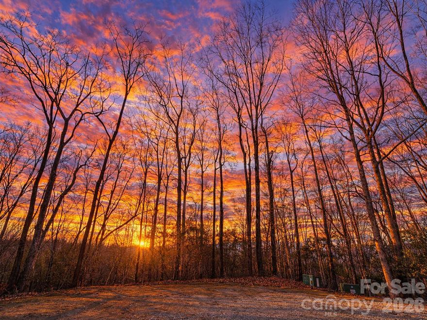 This Ideal lot benefits from community water and sewer, underground utilities, and proximity to many of Connestee Falls’ top amenities. MOTIVATED SELLER! From the rear of the property, there is convenient access to the lake across the adjacent street, allowing you to enjoy the tranquil surroundings and outdoor lifestyle that make this community so special. The natural terrain and mature trees create a sense of seclusion while still being close to the heart of the neighborhood.Build your dream home in the highly sought-after Connestee Falls, a premier gated mountain and golf course community located just minutes from downtown Brevard. This centrally located beautiful wooded lot offers rear seasonal winter views of Lake Tiroga and surrounding mountain ridgelines, with a gentle natural slope well suited for a walk-out or terrace-level home design. Set at an estimated elevation of 3050 ft sloping down to 3000 ft, the property provides a peaceful setting that blends privacy, natural beauty, and convenience within the community.
Connestee Falls offers an exceptional lifestyle with four private lakes, a scenic golf course with mountain views, pickleball and tennis courts, a swimming pool, wellness and fitness center, over 20 miles of hiking trails, a dog park, and multiple parks and recreation areas throughout the community. Whether your interests include outdoor adventure, fitness and wellness, social activities, or simply relaxing in a serene mountain environment, Connestee Falls provides something for everyone.
This property is well suited for a full-time residence, mountain retreat, or future build investment, offering a rare combination of elevation, seasonal views, amenities, and access to nature, all within a gated community close to town. Seller is motivated. Come experience the natural beauty, vibrant community, and mountain lifestyle that make Connestee Falls one of Brevard’s most desirable places to live.